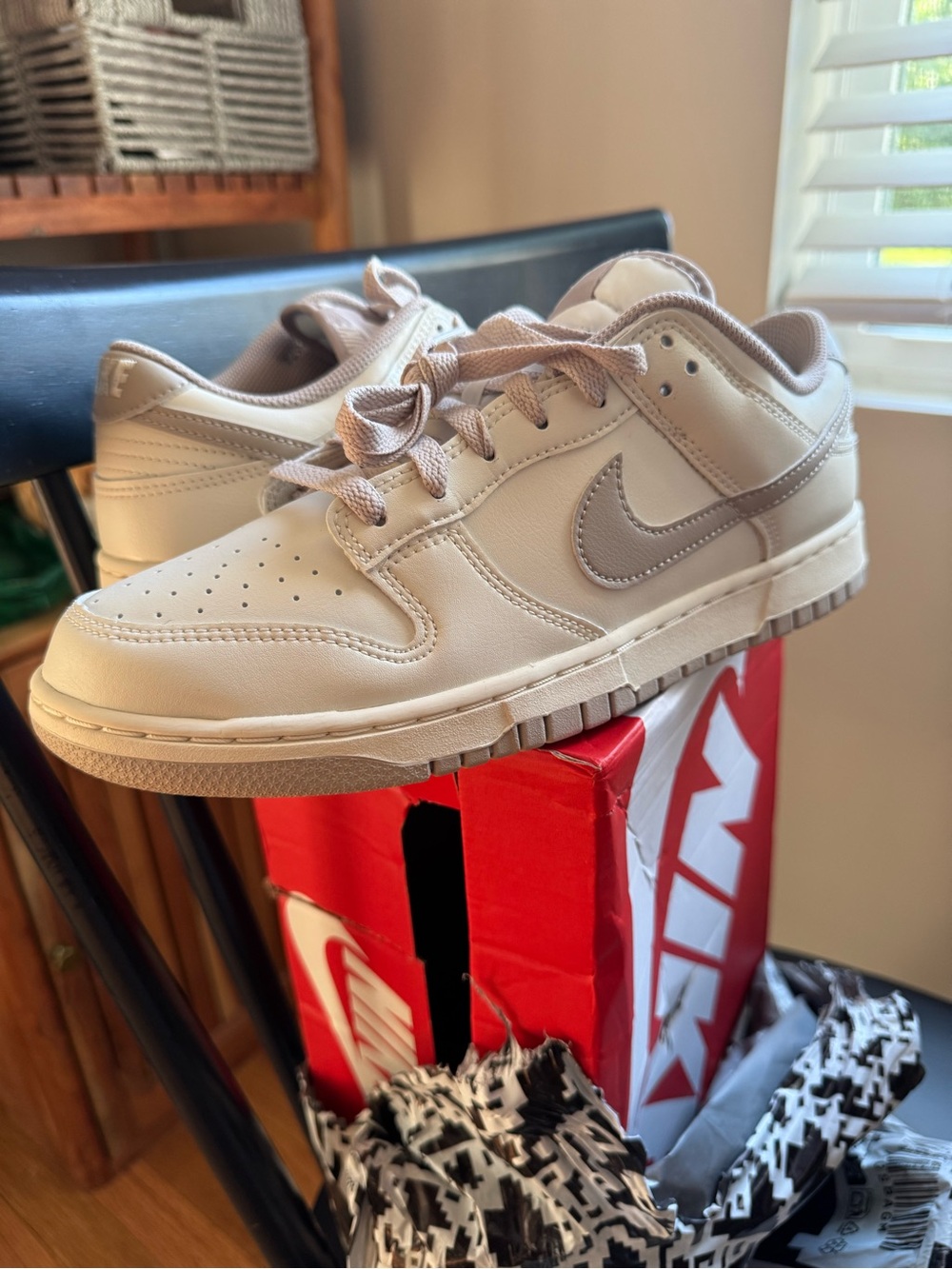 Nike Men’s Low-Dunn Retro